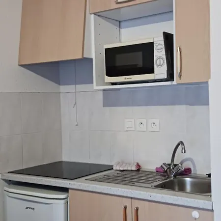 Le Petit Montagnard Apartamento Thollon-les-Memises